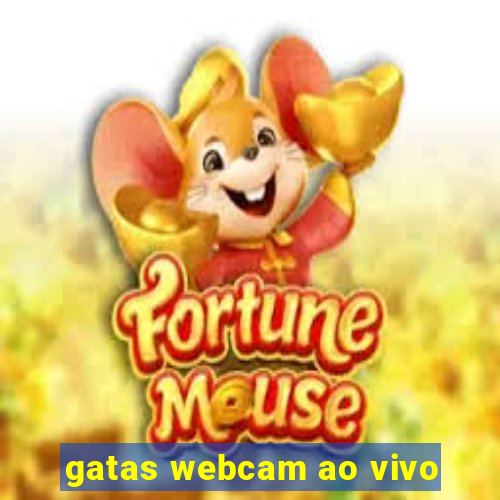 gatas webcam ao vivo